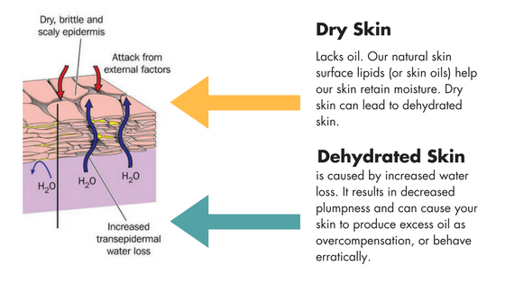 https://kbeautystart.com/wp-content/uploads/2026/01/e68c1-dehydrated2bskin.png